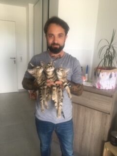 Sylvain avec les 3 chatons Garde à domicile Nantes
