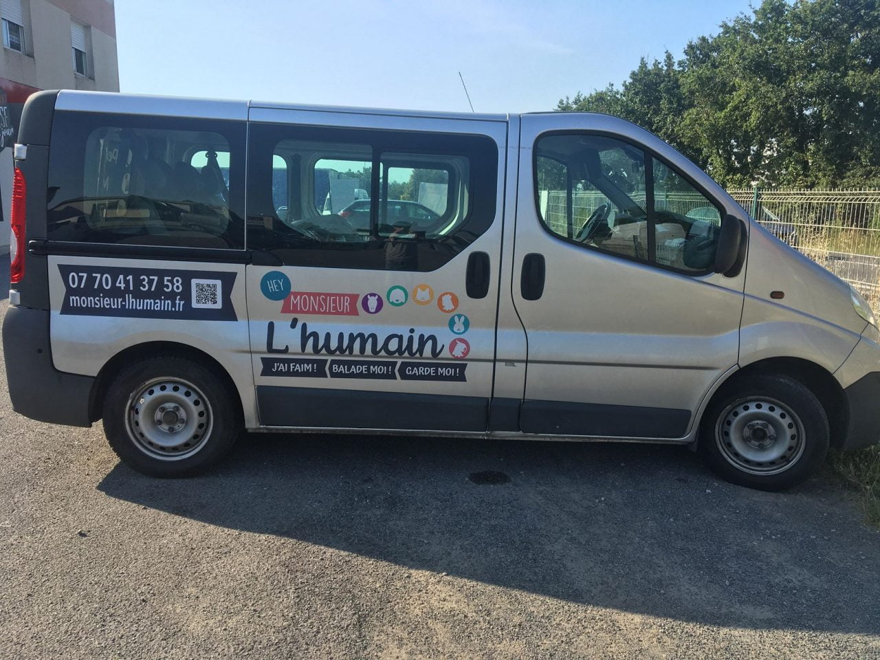 Taxi animalier la solution de transport pour vos animaux